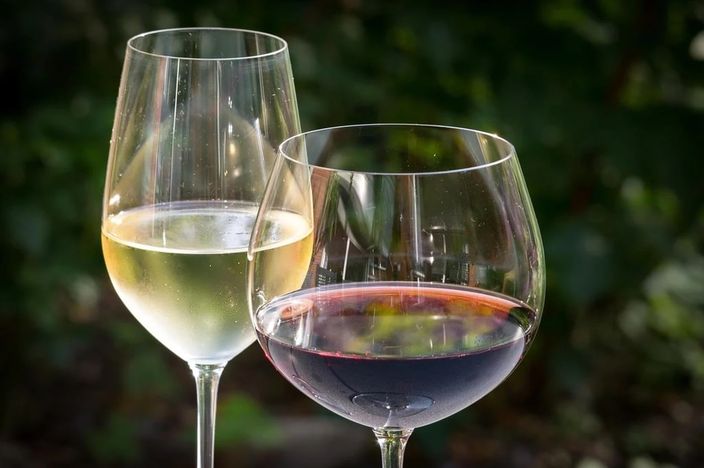 Quels sont les vins de l'Hérault ?